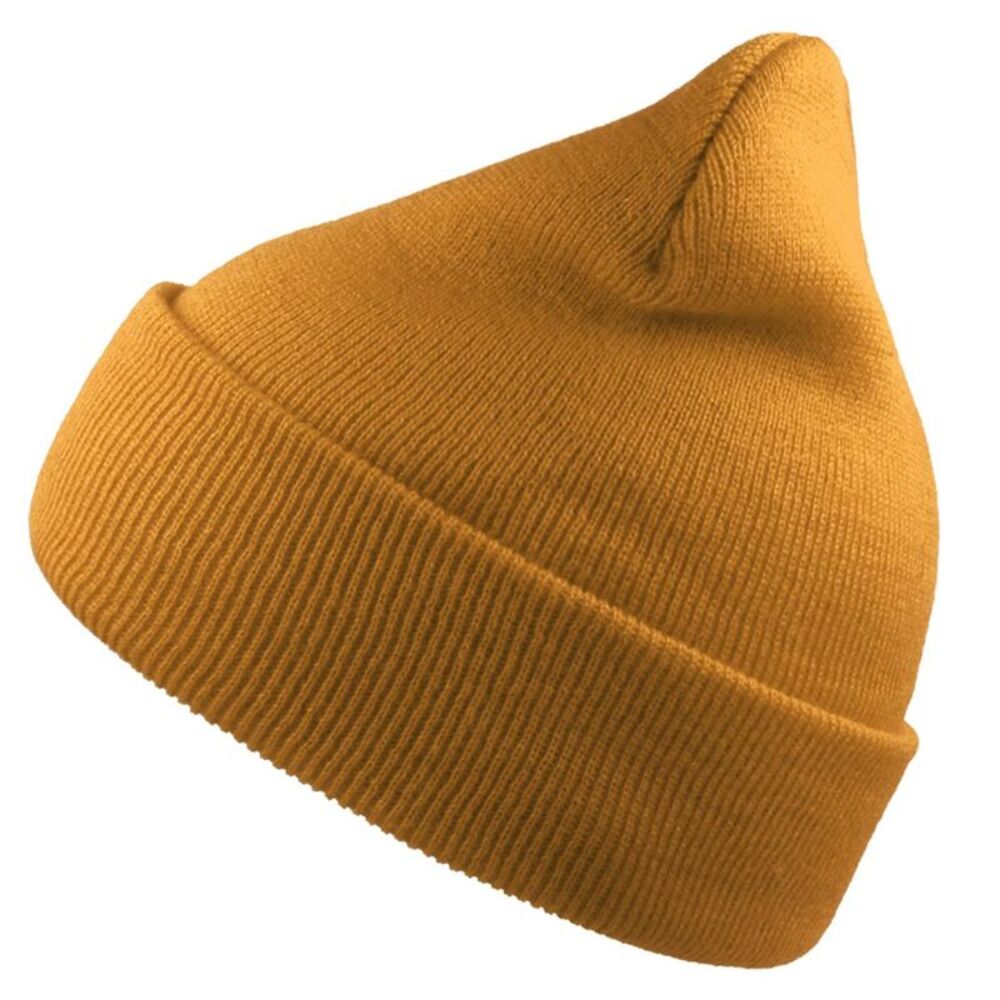 Atlantis Unisex Adult Wind Recycled Cuffed Beanie / Moss